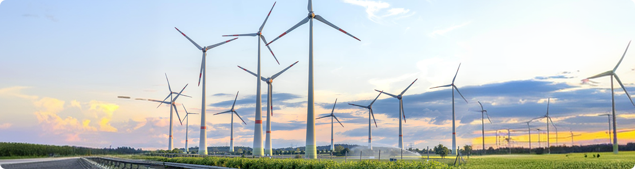 Renewable Energy Banner
